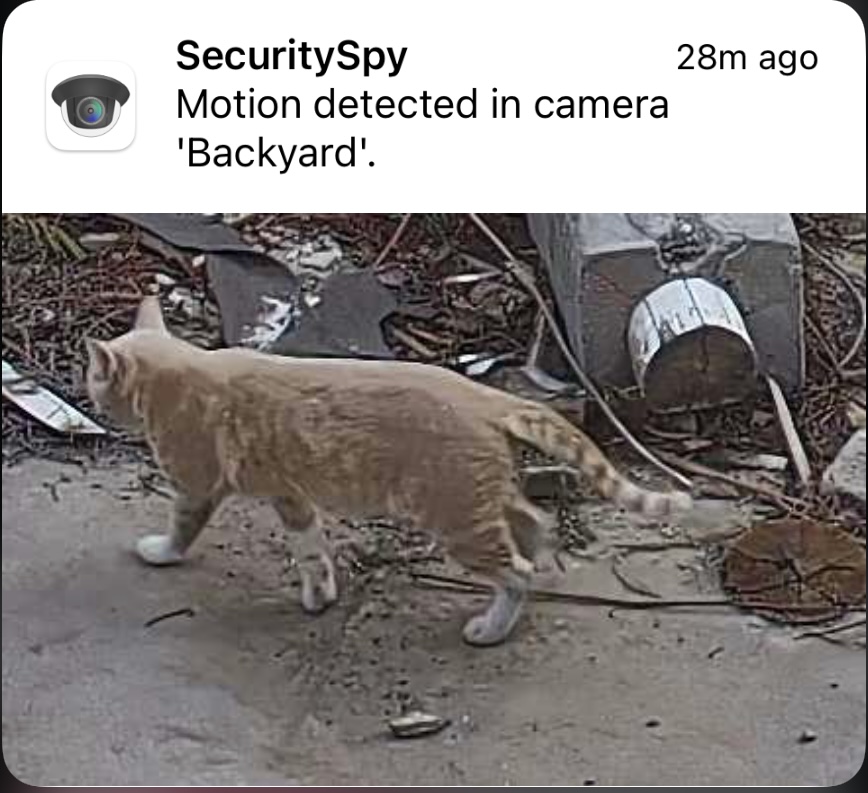 05C713A8-A5F7-43E0-8506-348EDB59DC9C.jpeg