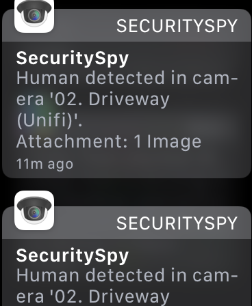 incoming-1985D062-5DE2-4884-811D-6C9BC2660BB3.PNG