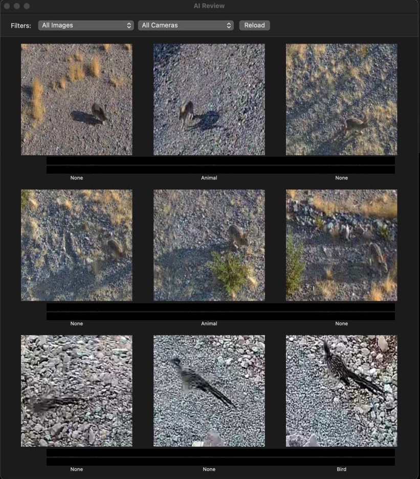 ScreenShot 2025-08-02 at 3.12.45 PM.jpg