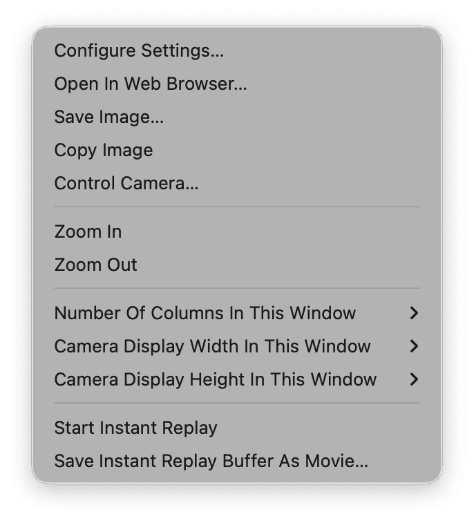 The contextual menu shown when right-clicking a camera's live image